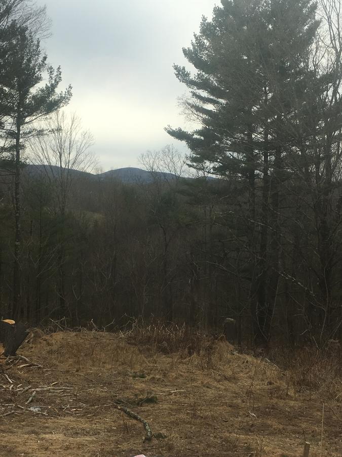 Cozy Cabin In The Catskills East Durham Екстер'єр фото